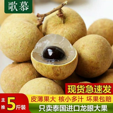 [一件代发]泰国龙眼新鲜桂圆热带进口水果批发包邮