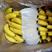 《热销产品》常年供应大量精品进口，国产香蕉，全国配送