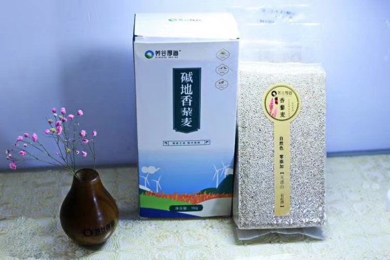 张北县农业基地养谷厚道碱地香藜麦