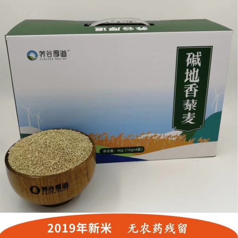 张北县农业基地养谷厚道碱地香藜麦