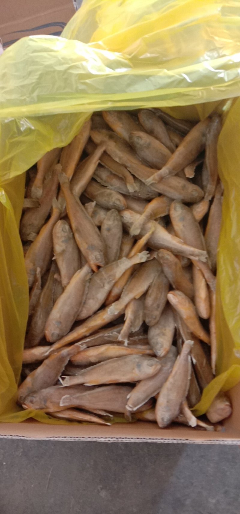 小黄花鱼冰衣很小条冻各种规格都有不包运费量大从优