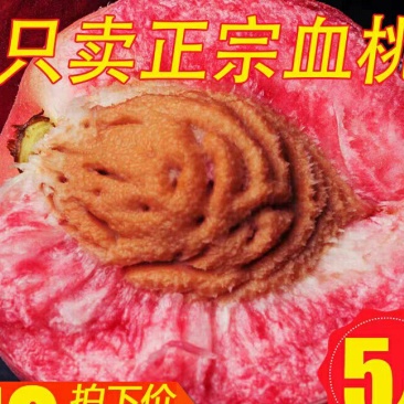 助农现摘正宗湖北胭脂红老树血桃新鲜香甜雪桃5斤红心桃子水