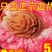 助农现摘正宗湖北胭脂红老树血桃新鲜香甜雪桃5斤红心桃子水