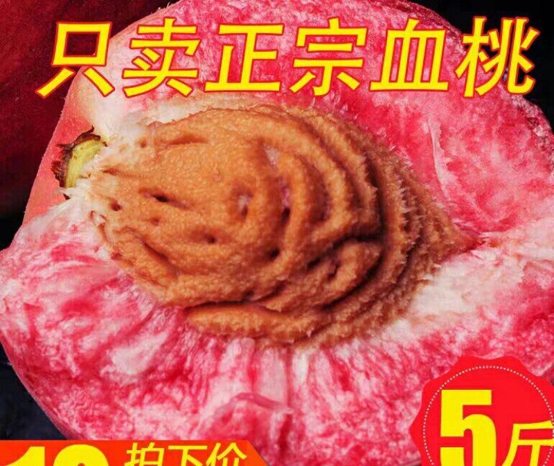 助农现摘正宗湖北胭脂红老树血桃新鲜香甜雪桃5斤红心桃子水