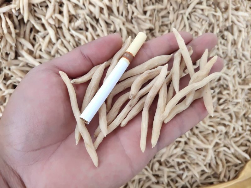 麦冬茶新鲜货无硫晒干麦冬饮品中药用均可量大包邮物流车