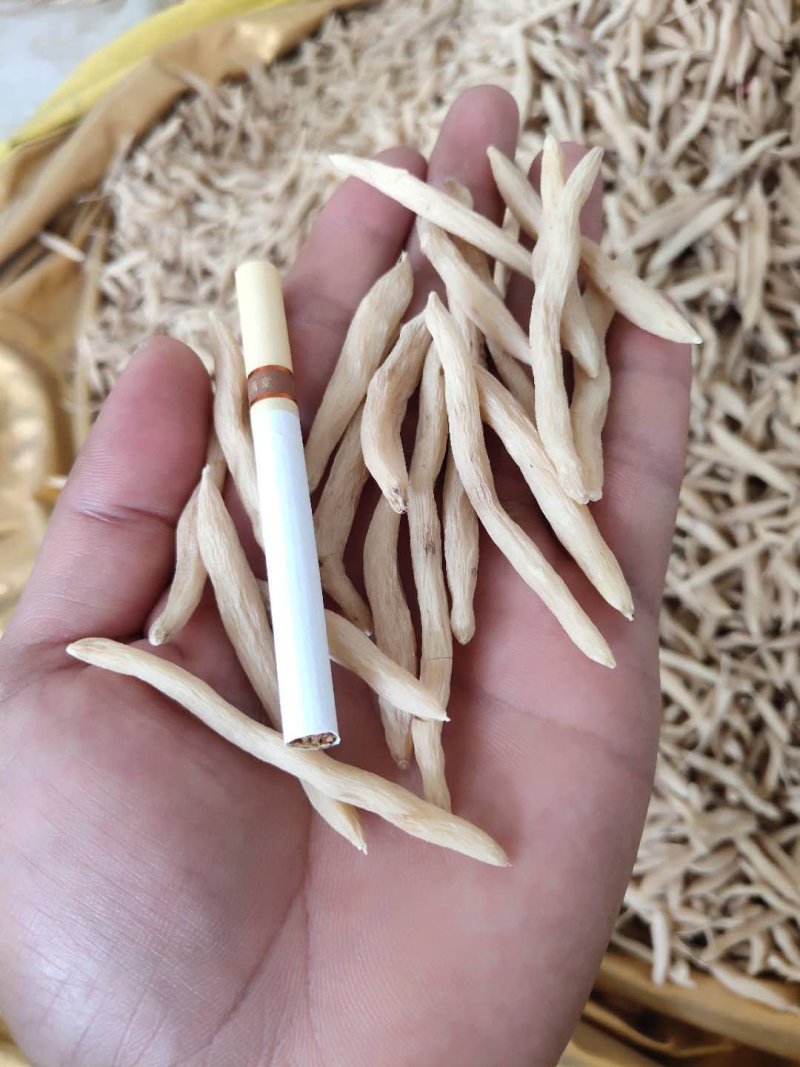 麦冬茶新鲜货无硫晒干麦冬饮品中药用均可量大包邮物流车