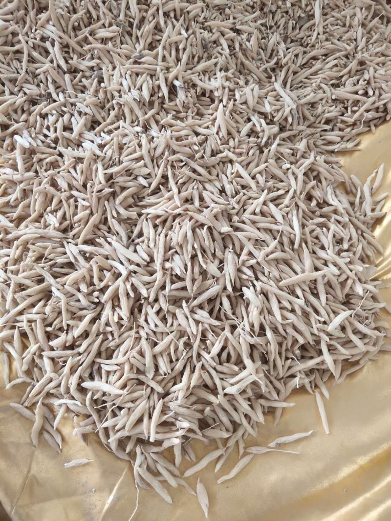 麦冬茶新鲜货无硫晒干麦冬饮品中药用均可量大包邮物流车