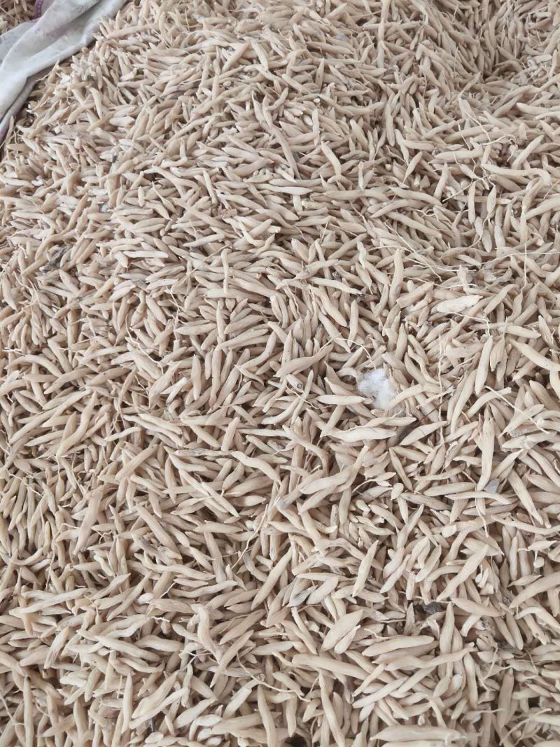 麦冬茶新鲜货无硫晒干麦冬饮品中药用均可量大包邮物流车