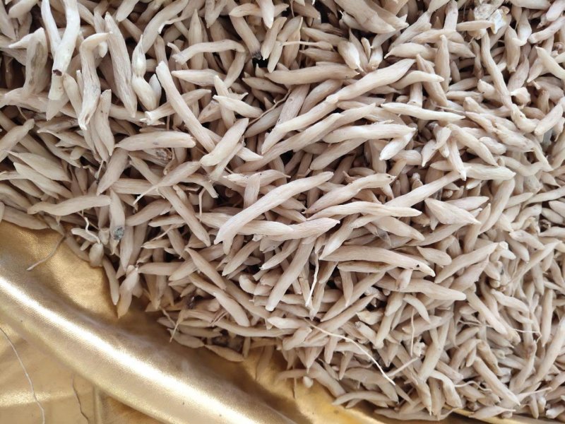 麦冬茶新鲜货无硫晒干麦冬饮品中药用均可量大包邮物流车