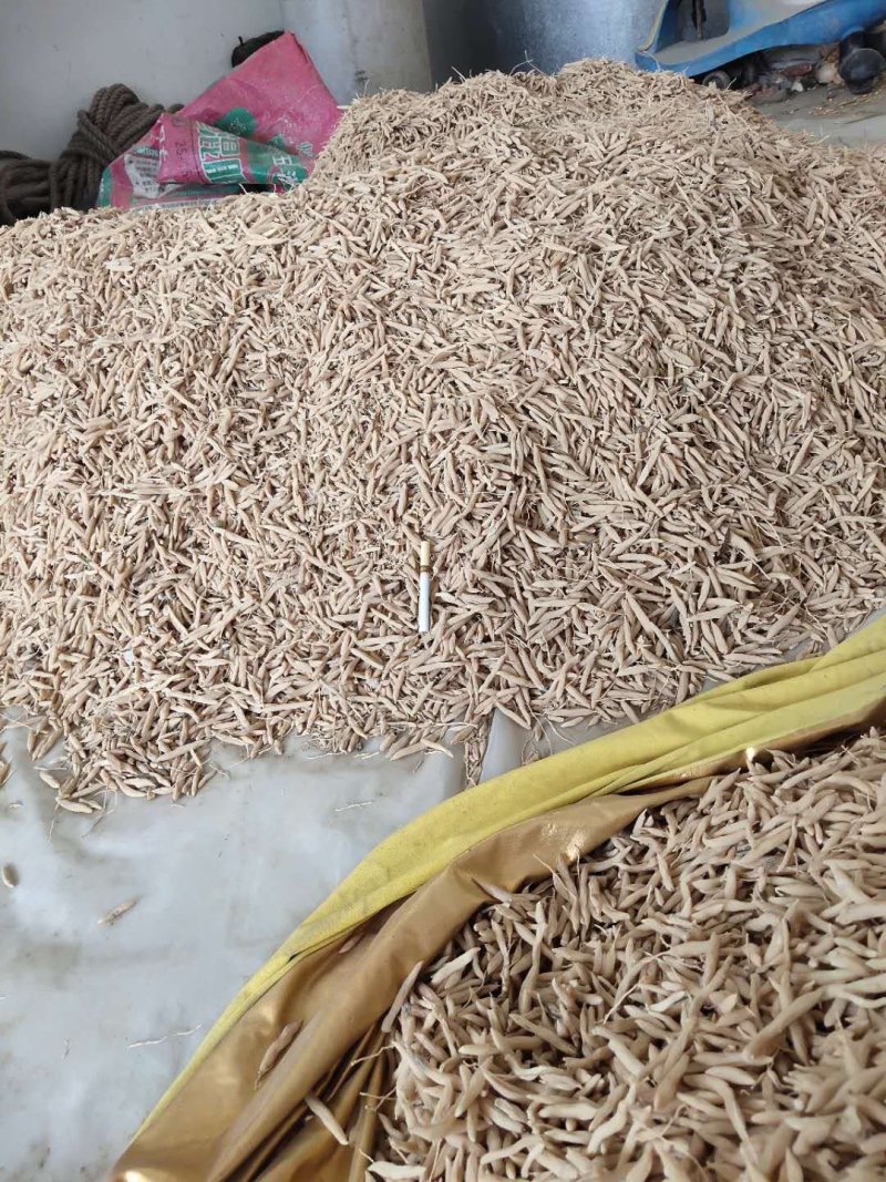 麦冬茶新鲜货无硫晒干麦冬饮品中药用均可量大包邮物流车
