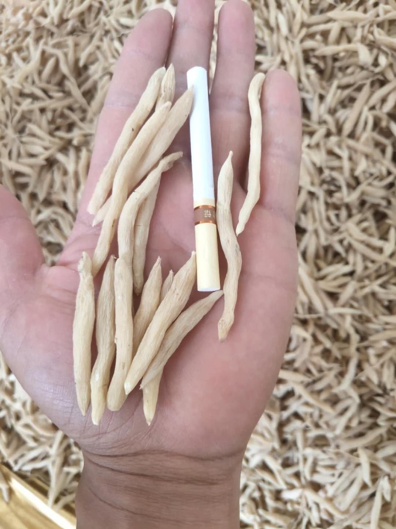 麦冬茶新鲜货无硫晒干麦冬饮品中药用均可量大包邮物流车