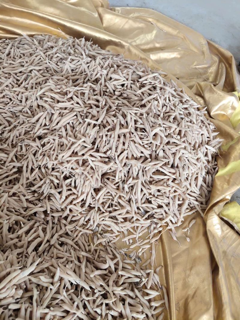 麦冬茶新鲜货无硫晒干麦冬饮品中药用均可量大包邮物流车