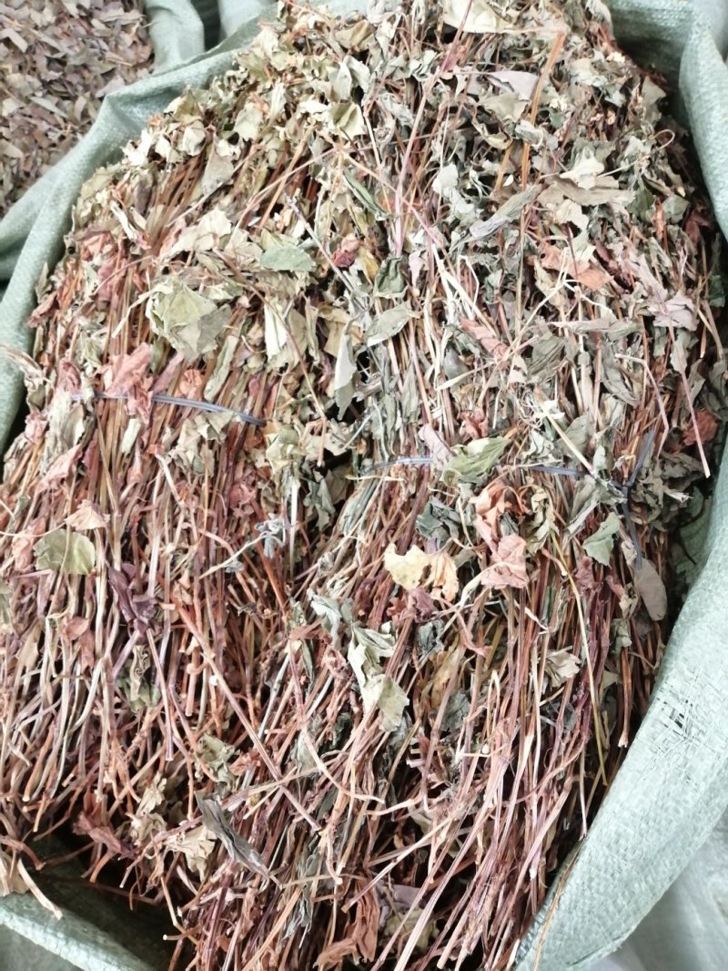鱼腥草，野生鱼腥草，扎把条子，切片均有，颜色青绿干度好