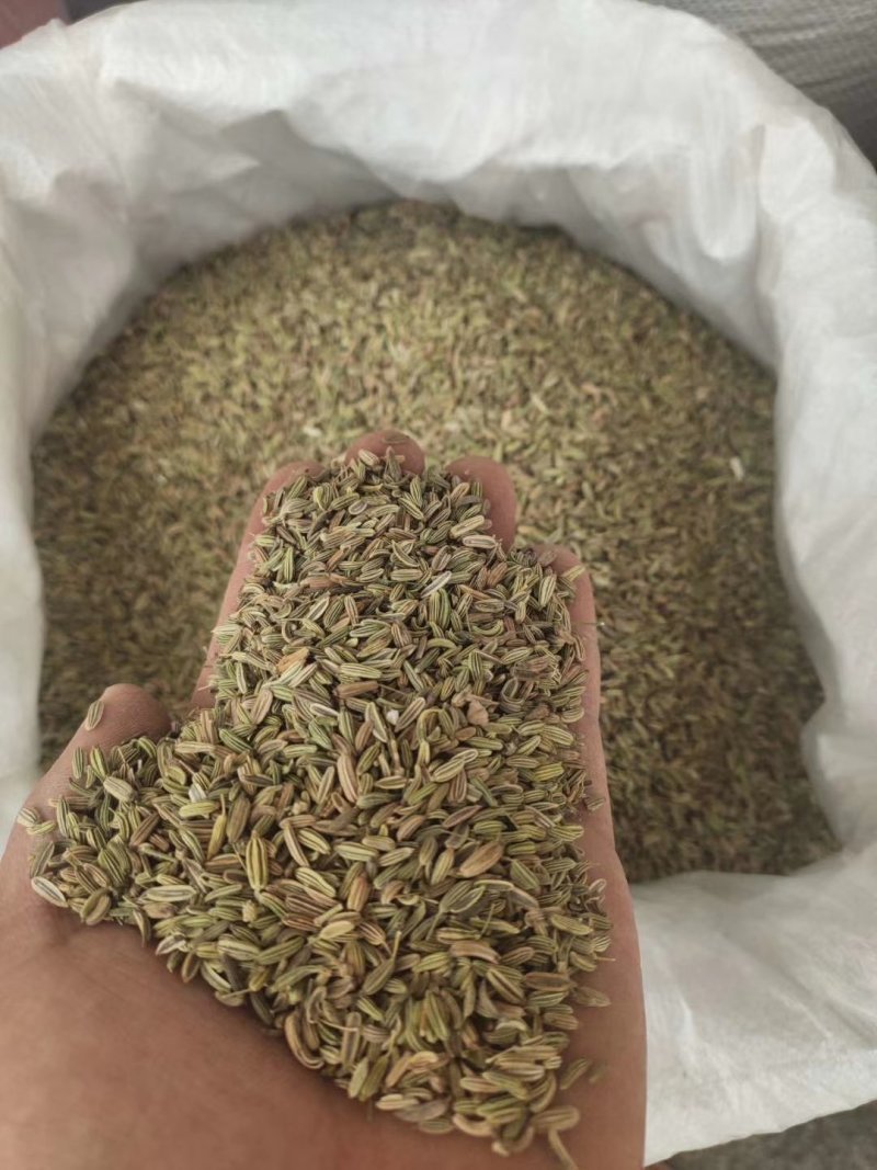 小茴香颜色好，味道浓，货好价优，量大从优