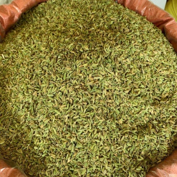 小茴香颜色好，味道浓，货好价优，量大从优
