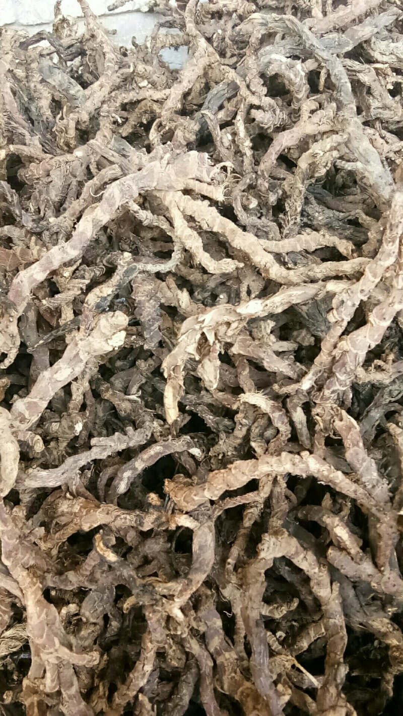 石菖蒲江西产野生精品货，欢迎新老客户打电话洽谈