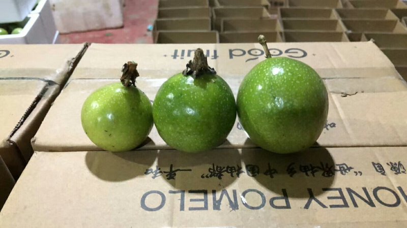 香蜜味黄金百香果6.5大量现货接单