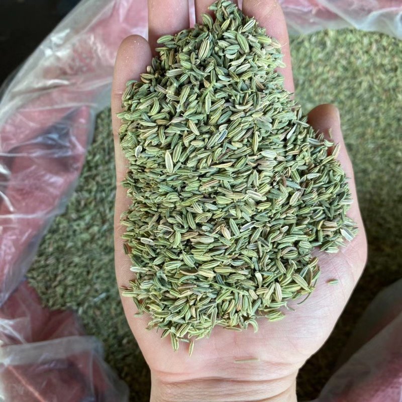 小茴香-天然调味品足干无硫磺