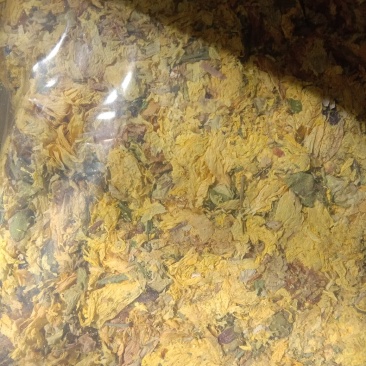 黄蜀葵花，常年批发供应冷背中药材黄蜀葵花
