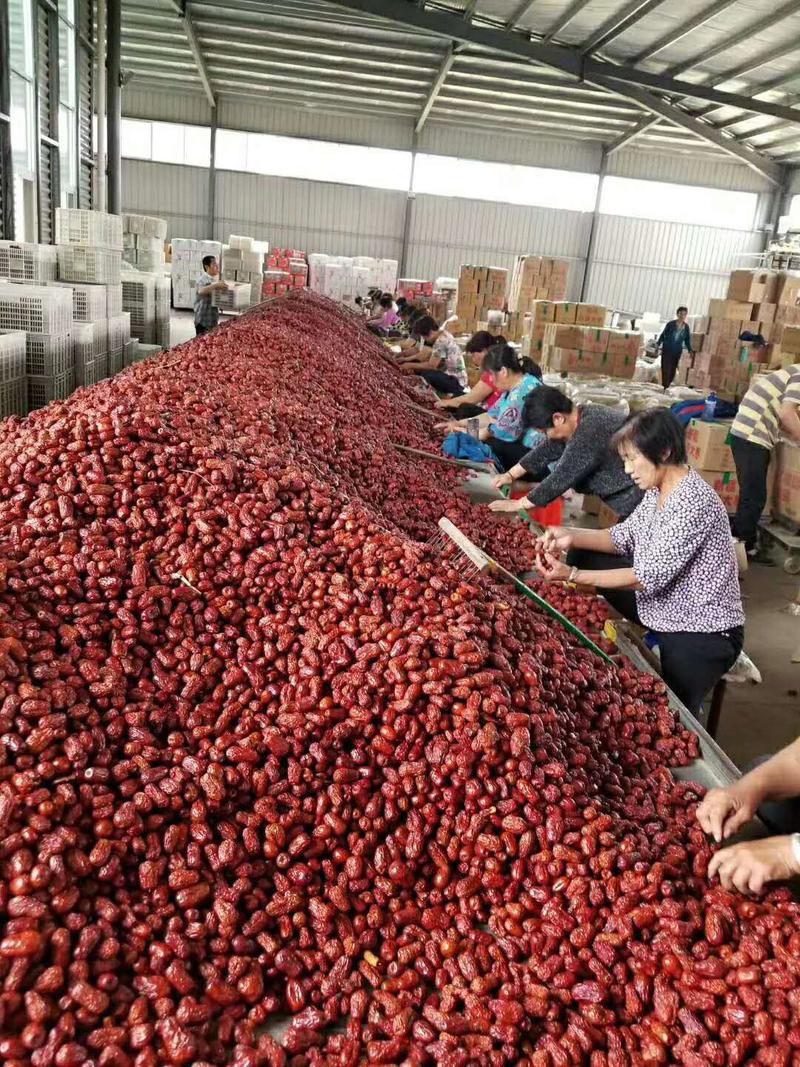 袋装和田大枣支持一件代发厂家直供电商批发商新疆红枣皮皮枣