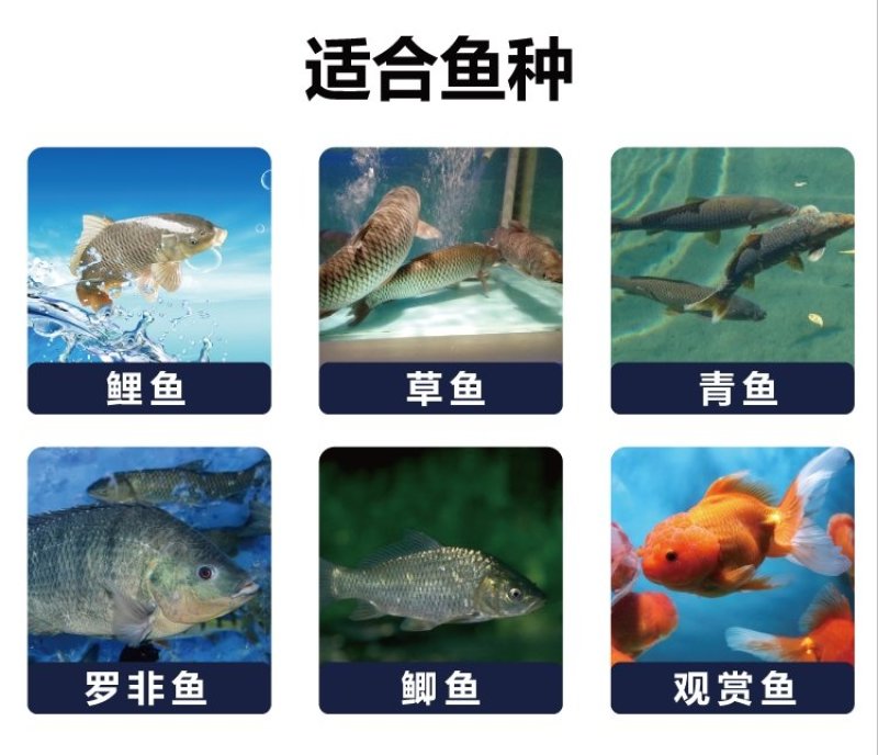 草鱼饲料通威1038～126可以视频看货选货