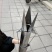 栽苗器栽辣椒茄子玉米苗