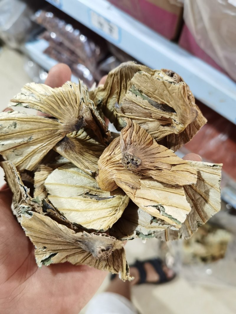 荷蒂，荷叶蒂各种冷背中药材