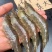 大虾新鲜活虾速冻对虾基围虾北极虾白虾皮皮虾龙虾类海鲜