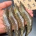 大虾新鲜活虾速冻对虾基围虾北极虾白虾皮皮虾龙虾类海鲜