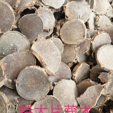 广西灵山莪术片，小片，大片，小莪术（文术）个子，大量现货