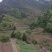 我手里有9000亩山地找合作不要租金