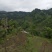 我手里有9000亩山地找合作不要租金
