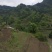 我手里有9000亩山地找合作不要租金