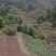 我手里有9000亩山地找合作不要租金