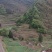 我手里有9000亩山地找合作不要租金