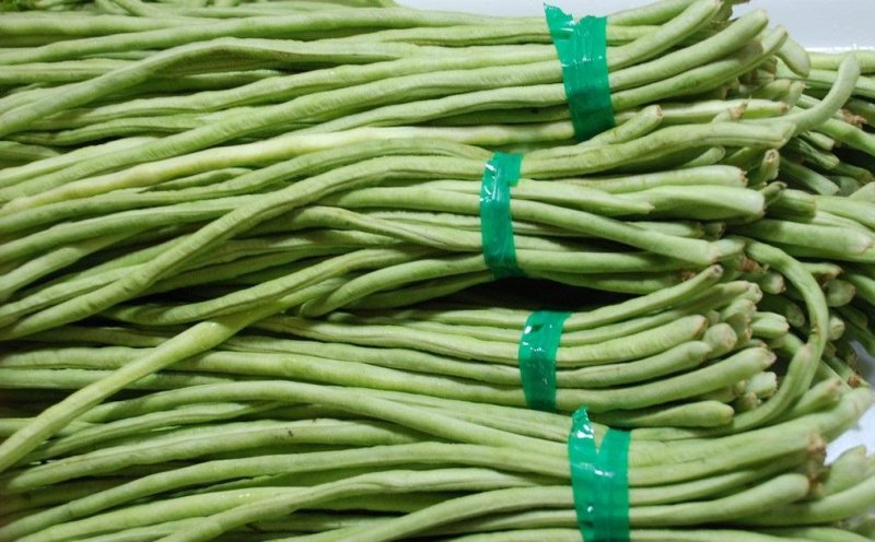 【热卖】精品豇豆现货供应量大从优欢迎选购