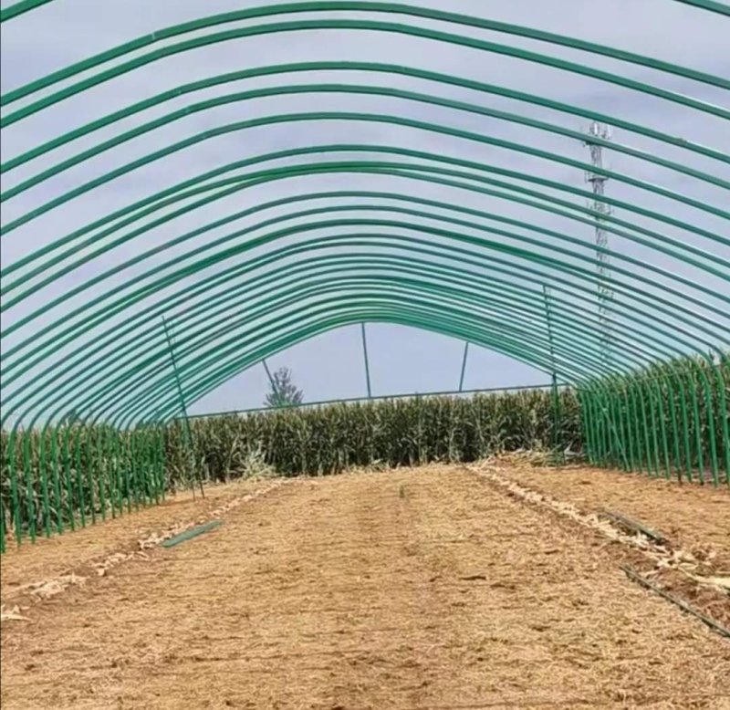 种植大棚骨架整套保温金针菇大棚木耳大棚羊肚菌种植大棚