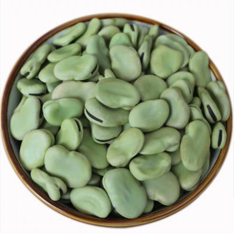 蚕豆胡豆干净无霉变大颗粒可供大货可作种子可以吃