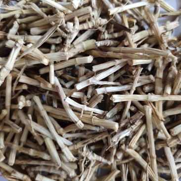 野生无硫白茅根茅根干货