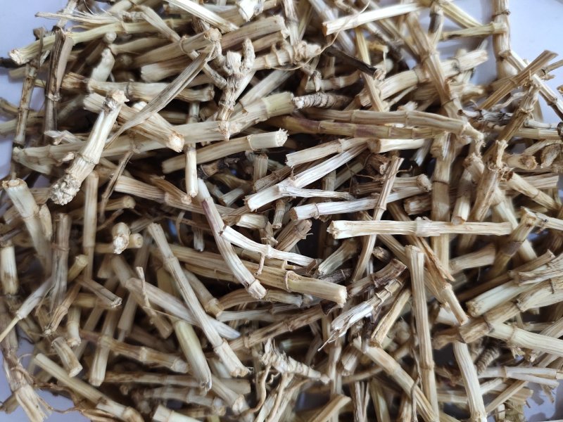 野生无硫白茅根茅根干货