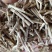 野生无硫白茅根茅根干货