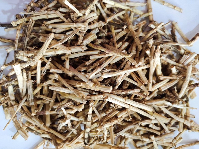 野生无硫白茅根茅根干货