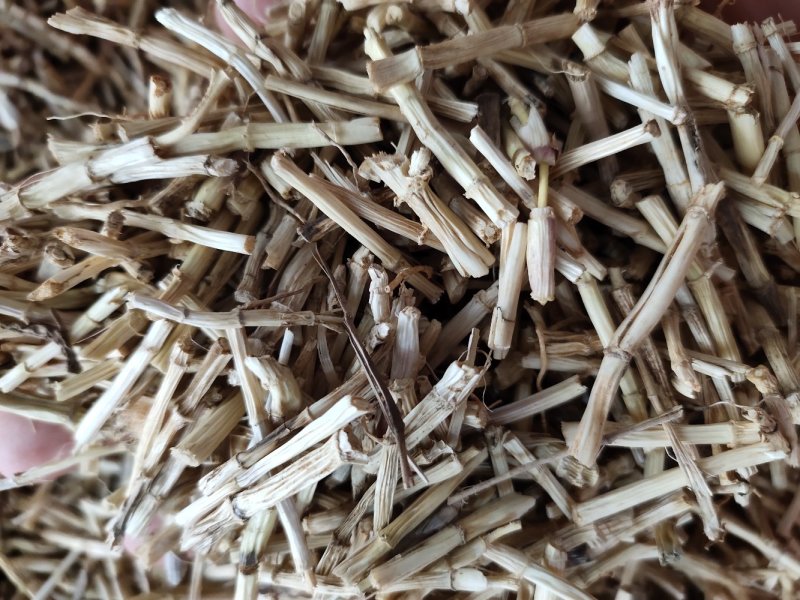 野生无硫白茅根茅根干货
