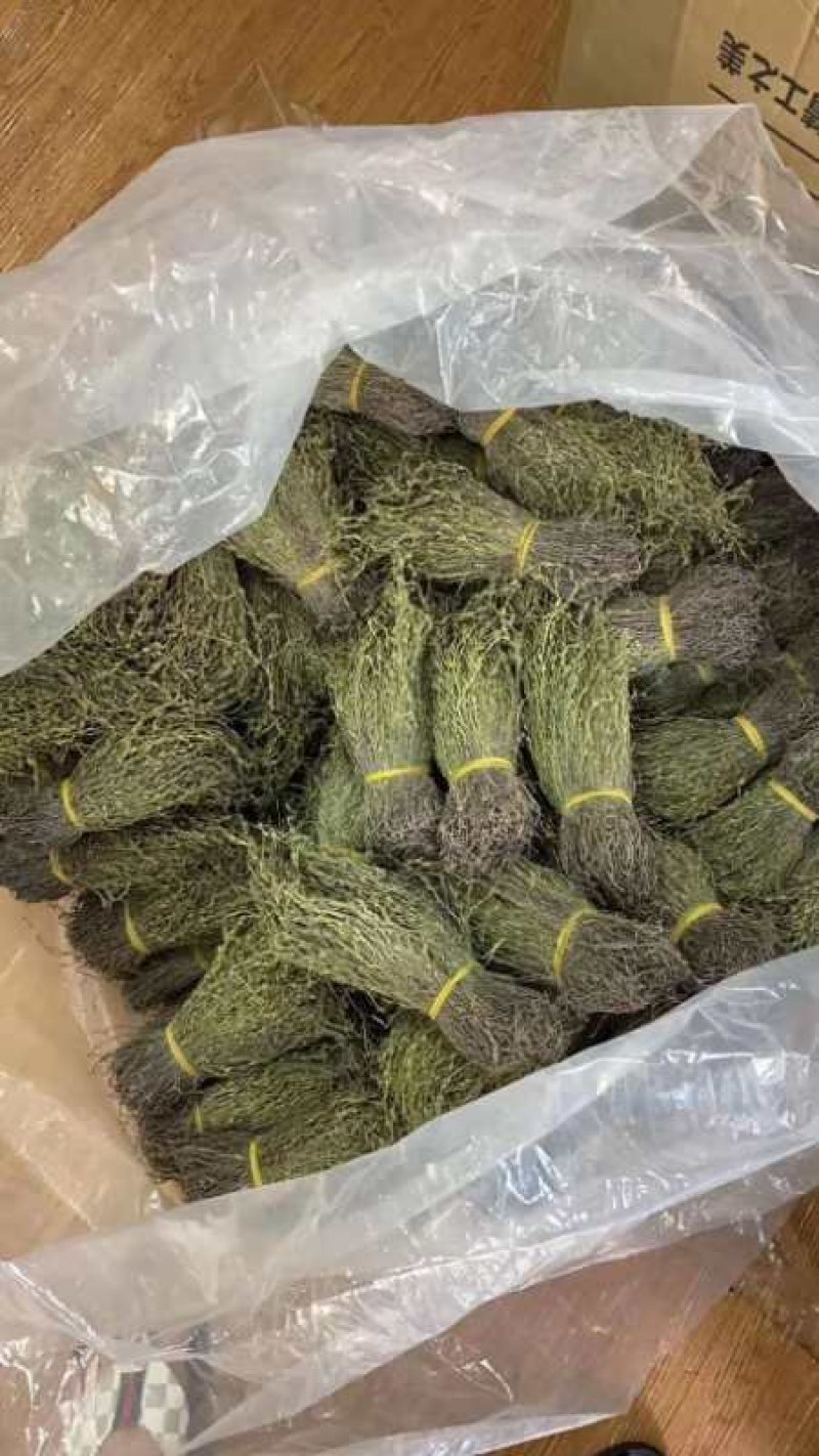 独脚金