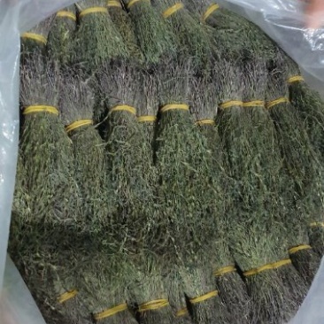 独脚金