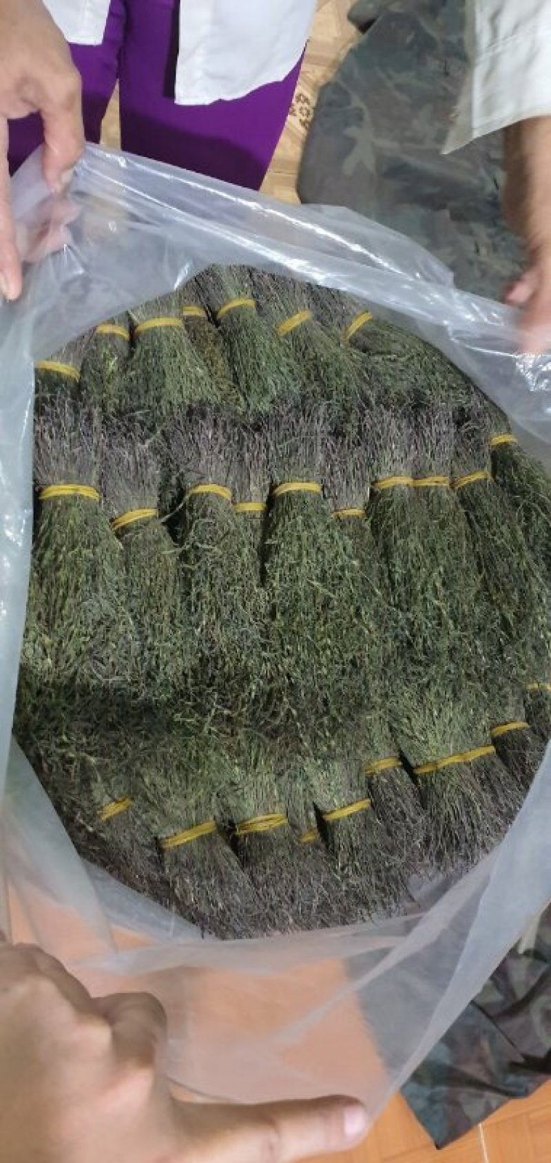 独脚金