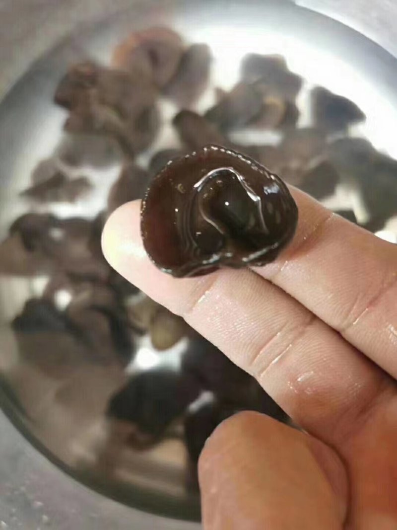 东北小片黑木耳，地摊热卖火爆畅销产品，地摊热卖资源
