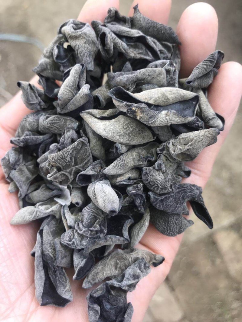 东北小片黑木耳，地摊热卖火爆畅销产品，地摊热卖资源