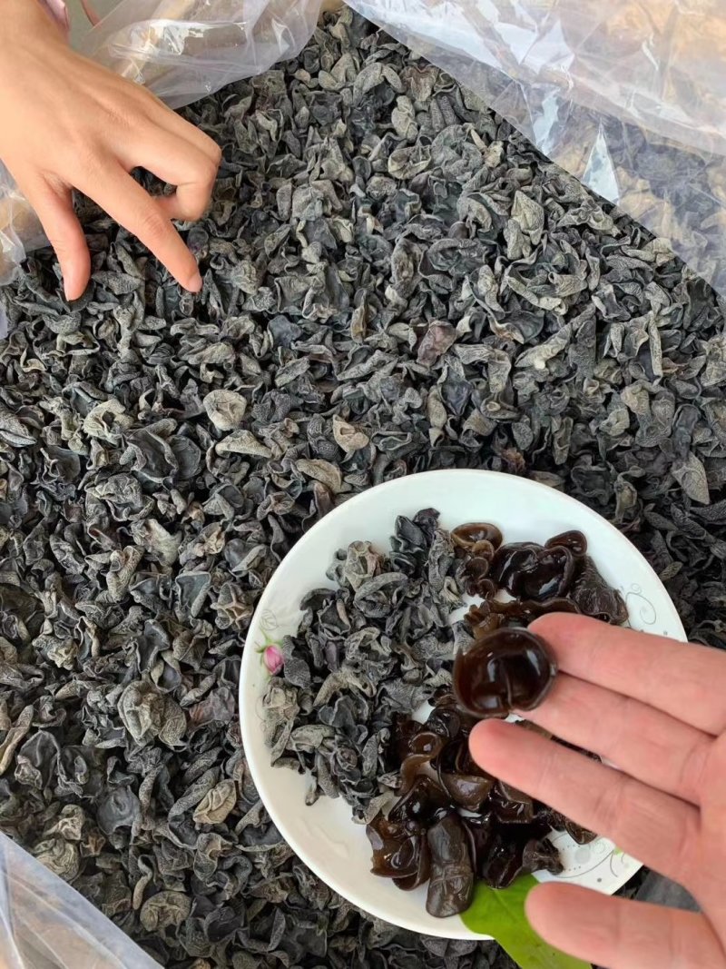 东北小片黑木耳，地摊热卖火爆畅销产品，地摊热卖资源
