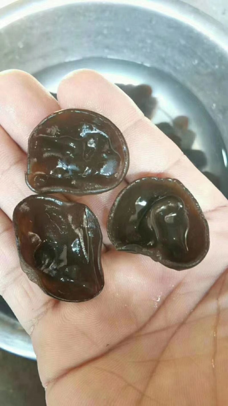 东北小片黑木耳，地摊热卖火爆畅销产品，地摊热卖资源